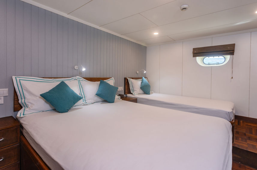 Standard Cabin - Carpe Vita