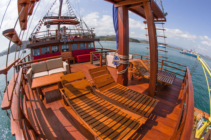 Top Deck - Sea Safari VI