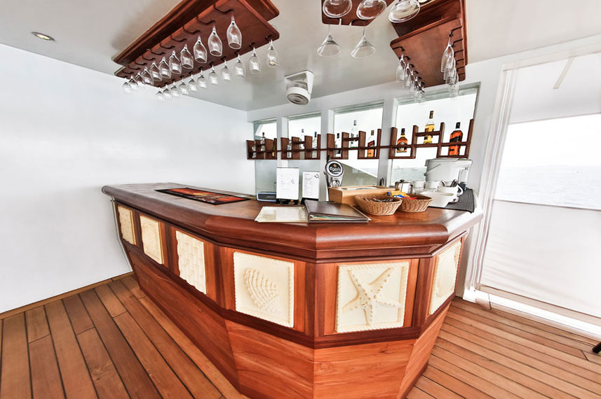 Bar Area - Carpe Novo