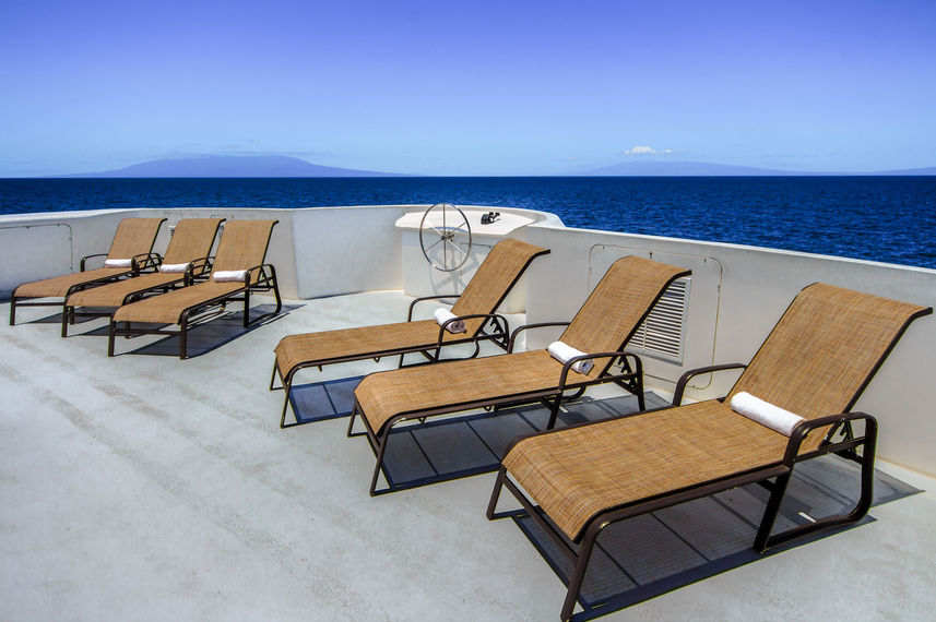 Terraza - Treasure of Galapagos