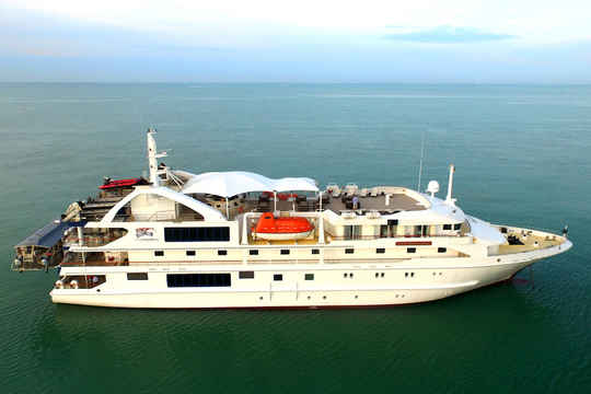 Coral Discoverer