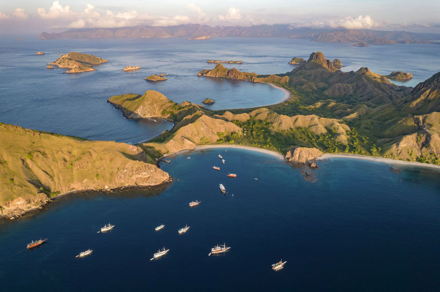 岛屿探险 - Komodo Sea Dragon
