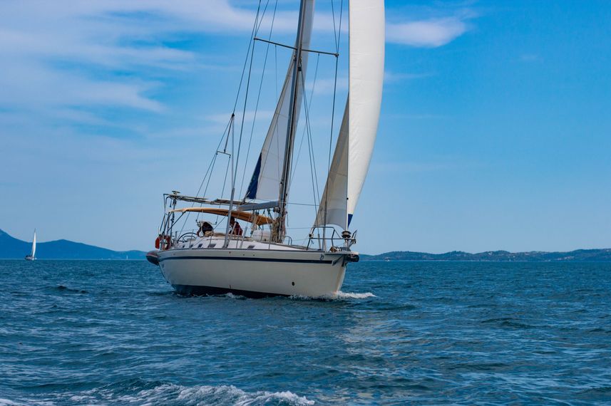 Blue Marlin