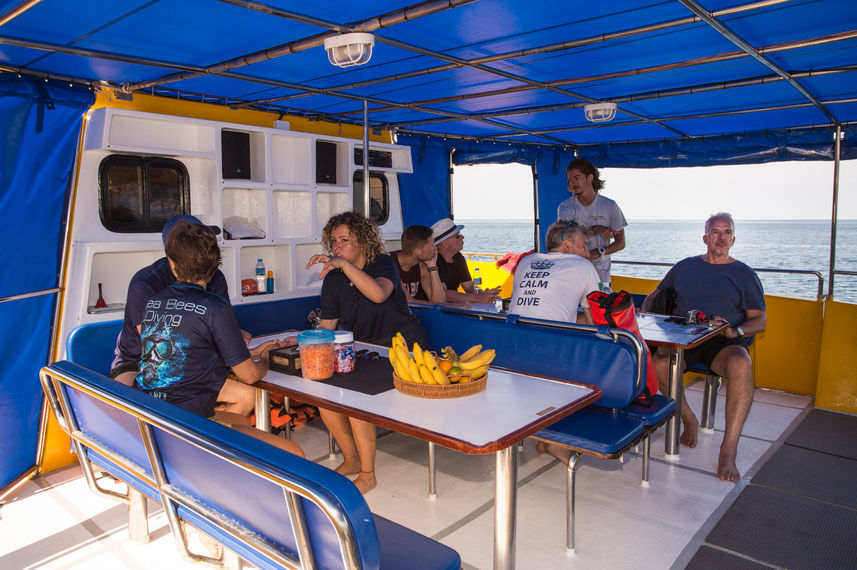 Abendessen im Freien - Stingray