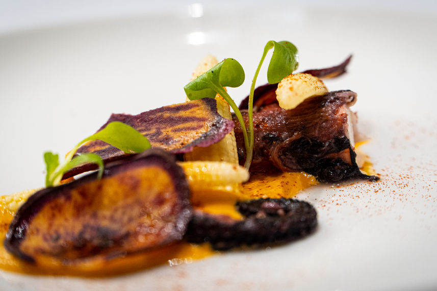 Delicious Cuisine - Hermes
